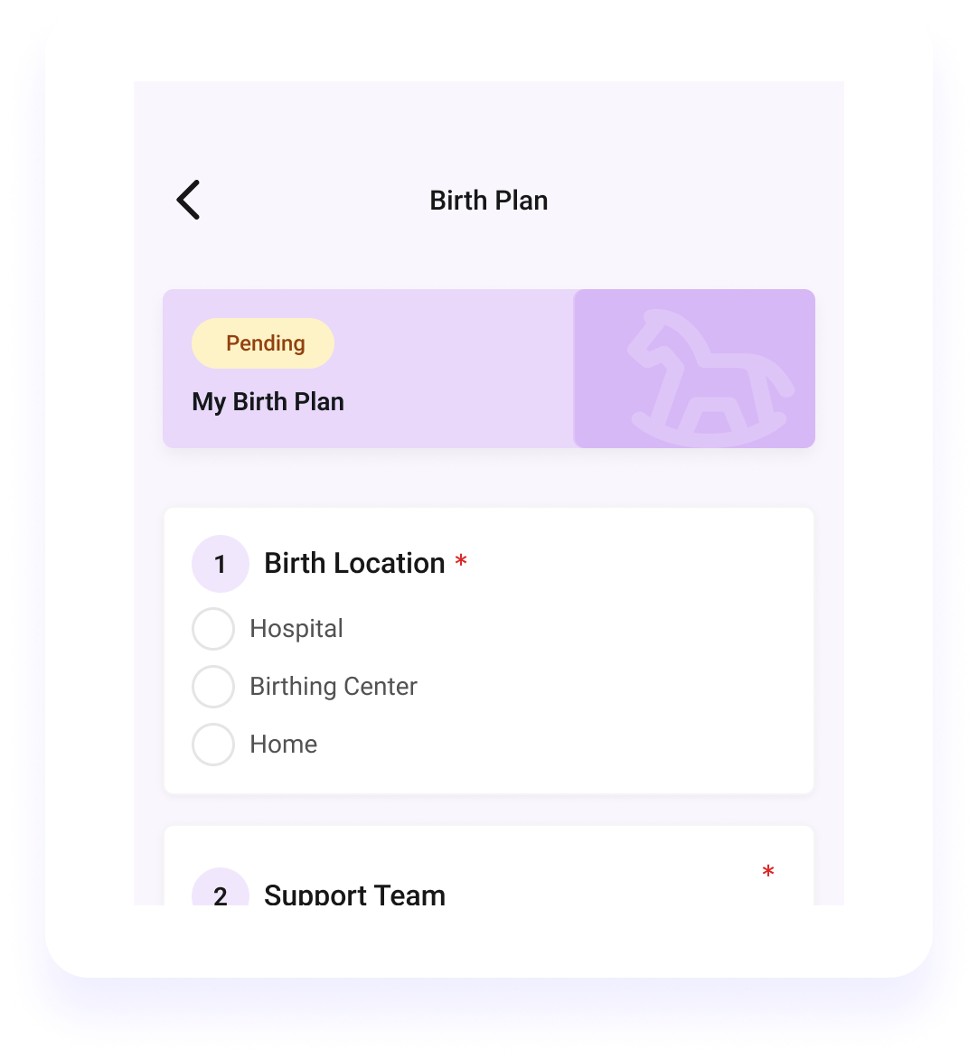 Birth Plan Builder preview